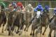 Creator, with jockey Ricardo Santana Jr., center rear, runs in 11th place entering the stretch of the Arkansas Derby horse race at Oaklawn Park in Hot Springs, Ark., Saturday, April 16, 2016. Creator won the race. (AP Photo/Devid Quinn)