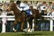 DONCASTER, ENGLAND - MARCH 22: Richard Hughes brings Tacitus home to land The Mitsubishi Diamond Vision Conditions Stakes Race run at Doncaster Racecourse on March 22, 2003 in Doncaster. (Photo by Julian Herbert/Getty Images)
