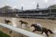 LOUISVILLE, KY - MAY 05: Justify #7, ridden by jockey Mike Smith leads the field to the finish line to win the 144th running of the Kentucky Derby at Churchill Downs on May 5, 2018 in Louisville, Kentucky. (Photo by Rob Carr/Getty Images)