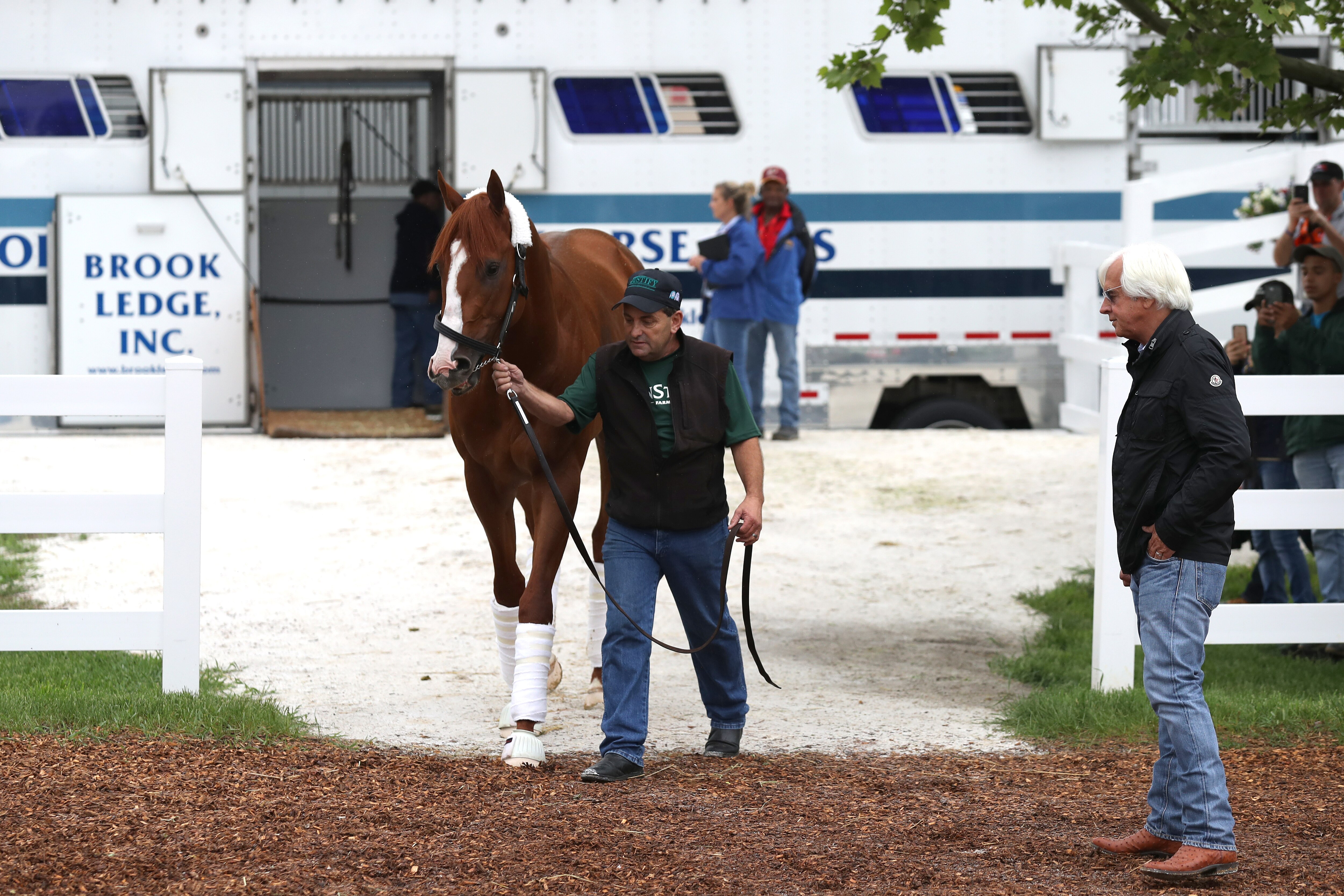 Kentucky Derby 2019 Contenders Lineup And Pedigree For All