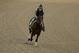 Exercise rider Taylor Cambra rides Kentucky Derby entrant Omaha Beach during a workout at Churchill Downs Wednesday, May 1, 2019, in Louisville, Ky. The 145th running of the Kentucky Derby is scheduled for Saturday, May 4. (AP Photo/Charlie Riedel)