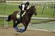Game Winner is the slight favorite in the Kentucky Derby after Omaha Beach was scratched due to a medical issue.
