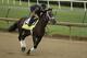 Kentucky Derby entrant Cutting Humor runs during a workout at Churchill Downs Thursday, May 2, 2019, in Louisville, Ky. The 145th running of the Kentucky Derby is scheduled for Saturday, May 4. (AP Photo/Charlie Riedel)