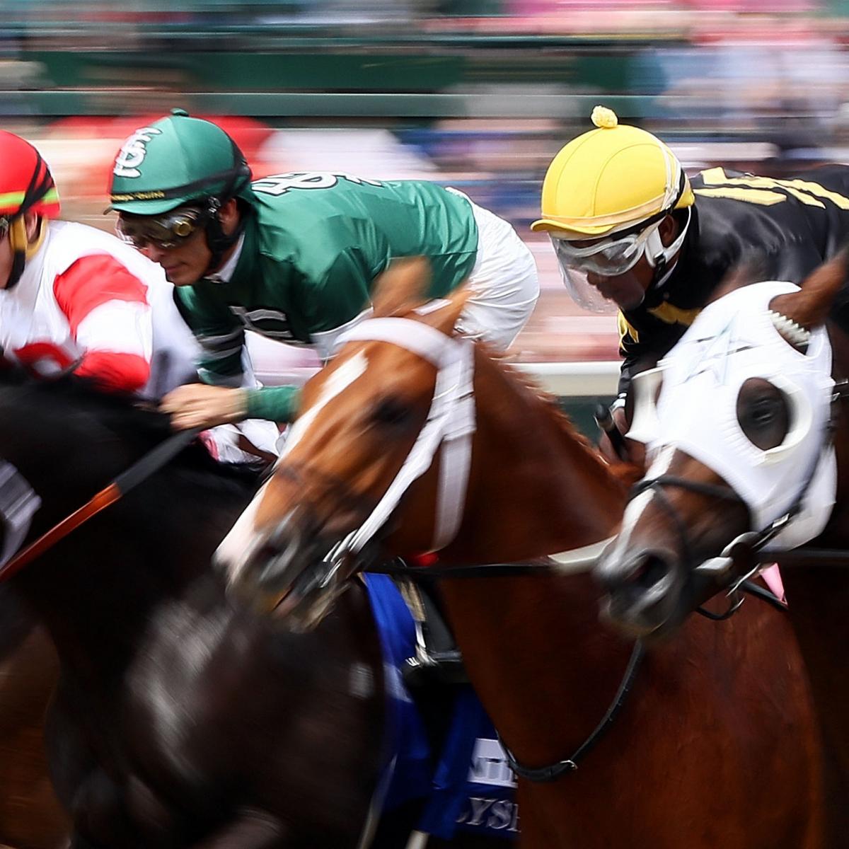 Horse Predictions Today Horse Predictions Today