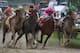 LOUISVILLE, KENTUCKY - MAY 04: Country House #20, ridden by jockey Flavien Prat, War of Will #1, ridden by jockey Tyler Gaffalione , Maximum Security #7, ridden by jockey Luis Saez and Code of Honor #13, ridden by jockey John Velazquez fight for position in the final turn during the 145th running of the Kentucky Derby at Churchill Downs on May 04, 2019 in Louisville, Kentucky. (Photo by Andy Lyons/Getty Images)