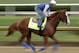 Kentucky Derby entrant Improbable runs during a workout at Churchill Downs Thursday, May 2, 2019, in Louisville, Ky. The 145th running of the Kentucky Derby is scheduled for Saturday, May 4. (AP Photo/Charlie Riedel)