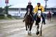 Preakness contender War of Will, left, with exercise rider Kim Carroll aboard, is led onto the track, Tuesday, May 14, 2019, at Pimlico Race Course in Baltimore. The Preakness Stakes horse race is scheduled to take place Saturday, May 18. (AP Photo/Will Newton)