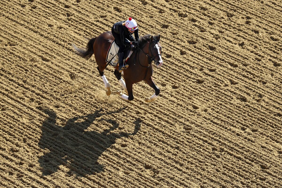 Latest Vegas Odds for Preakness 2019 After Post Draw News, Scores