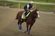 Kentucky Derby entrant Improbable is ridden during a workout at Churchill Downs Wednesday, May 1, 2019, in Louisville, Ky. The 145th running of the Kentucky Derby is scheduled for Saturday, May 4. (AP Photo/Charlie Riedel)