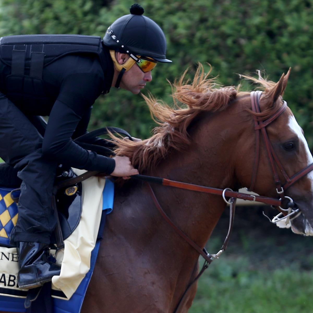 Preakness 2019 Entries, Contenders, Odds and Lineup Analysis News