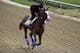 Improbable exercises in preparation for the Preakness Stakes horse race, Thursday, May 16, 2019, at Pimlico Race Course in Baltimore. The race is scheduled to take place Saturday, May 18. (AP Photo/Will Newton)