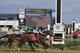 Point of Honor with Javier Castellano aboard wins the Black Eyed Susan horse race at Pimlico Race Course, Friday, May 17, 2019, in Baltimore. Ulele with Joel Rosario atop finishes second. (AP Photo/Mike Stewart)