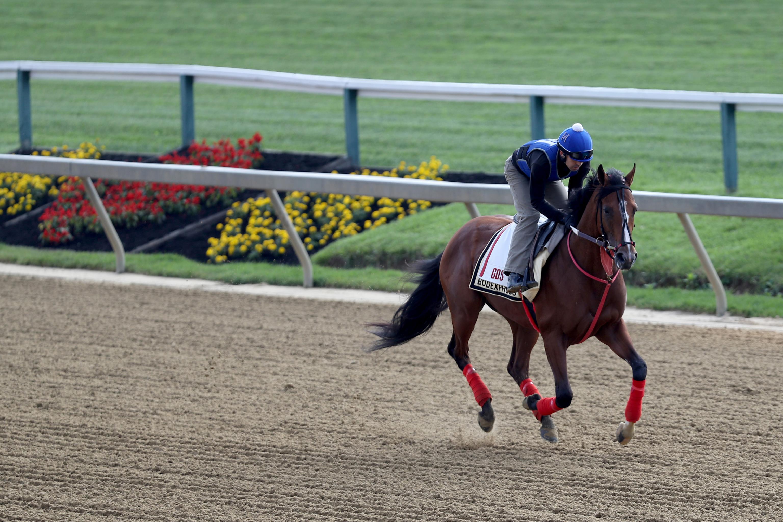 2019 Preakness Stakes is the Best Bet of the Week, 2023 Kentucky Derby &  Oaks