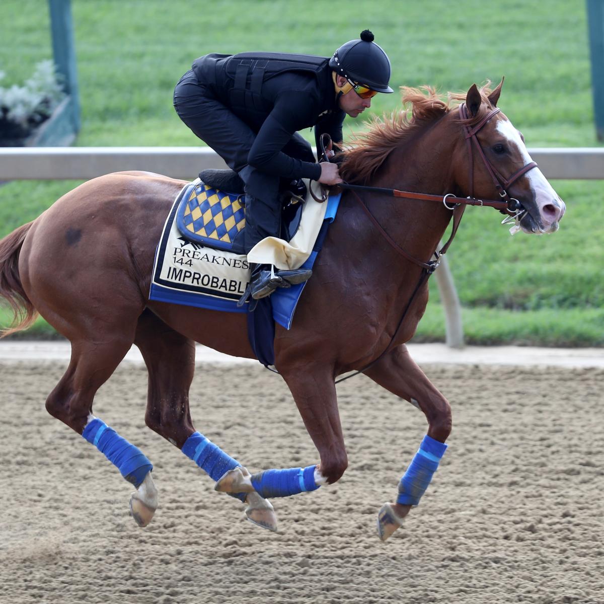 Preakness Odds 2019 Post Positions Info and Vegas Lines for All Horses