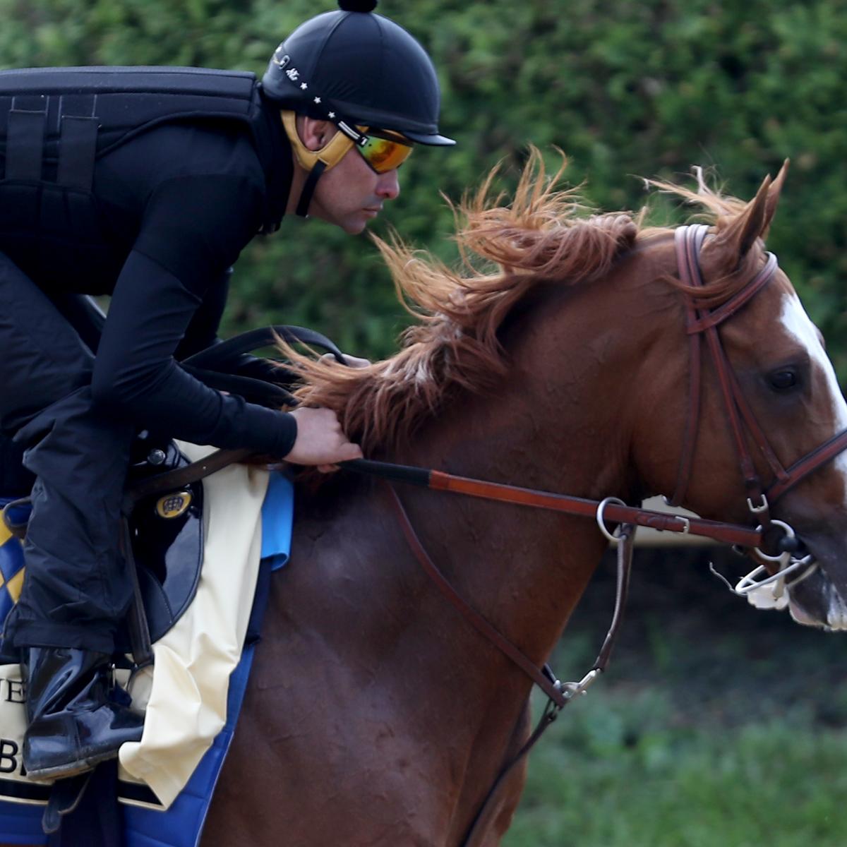 Preakness 2019 Contenders RaceDay Picks for Top Horses and Jockeys