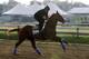 Improbable runs during training for Saturday's Preakness horse race at Pimlico race track in Baltimore, Friday, May 17, 2019. (AP Photo/Steve Helber)