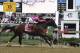 War of Will crossed the finish line first in the Preakness, using a quality ride by jockey Tyler Gaffalione to take a late lead and hold on for the victory.