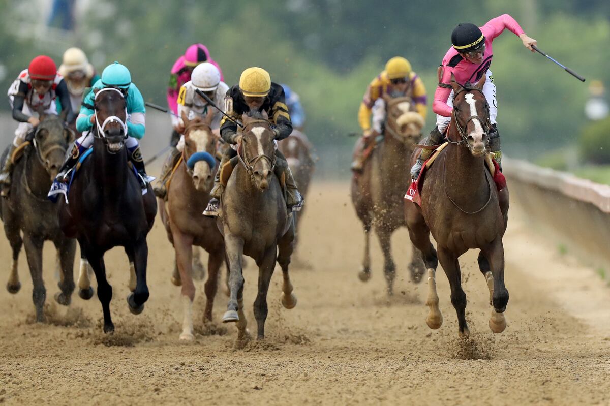 War of Will Wins 2019 Preakness Stakes; Favorite Improbable Finishes