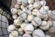 NEW YORK, NY - OCTOBER 13: A detail of official major league baseballs are seen in a bucket during batting practice between the New York Yankees and the Detroit Tigers during Game One of the American League Championship Series at Yankee Stadium on October 13, 2012 in the Bronx borough of New York City, New York. (Photo by Alex Trautwig/Getty Images)