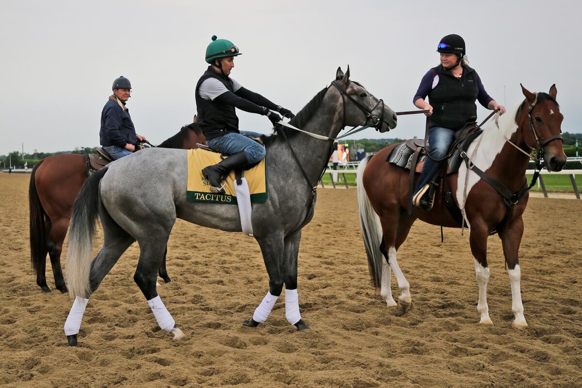 Belmont Stakes Picks 2019 Predictions and Odds for All Horses in the