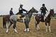 Exercise rider Joe Ramos, center, rides Tacitus during workouts at Belmont Park in Elmont, N.Y., Wednesday, June 5, 2019. The 151st Belmont Stakes horse race is scheduled for Saturday, June 8. (AP Photo/Seth Wenig)
