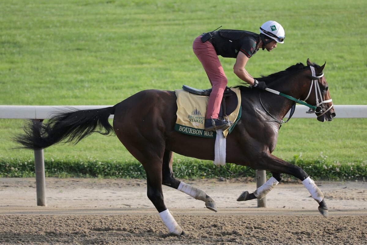 Belmont Stakes Field 2019 Horses and Jockeys Worth Backing in 151st
