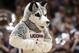 The Connecticut mascot performs during the second half of a women's Final Four NCAA college basketball semifinal tournament game against Notre Dame, Friday, April 5, 2019, in Tampa, Fla. (AP Photo/John Raoux)