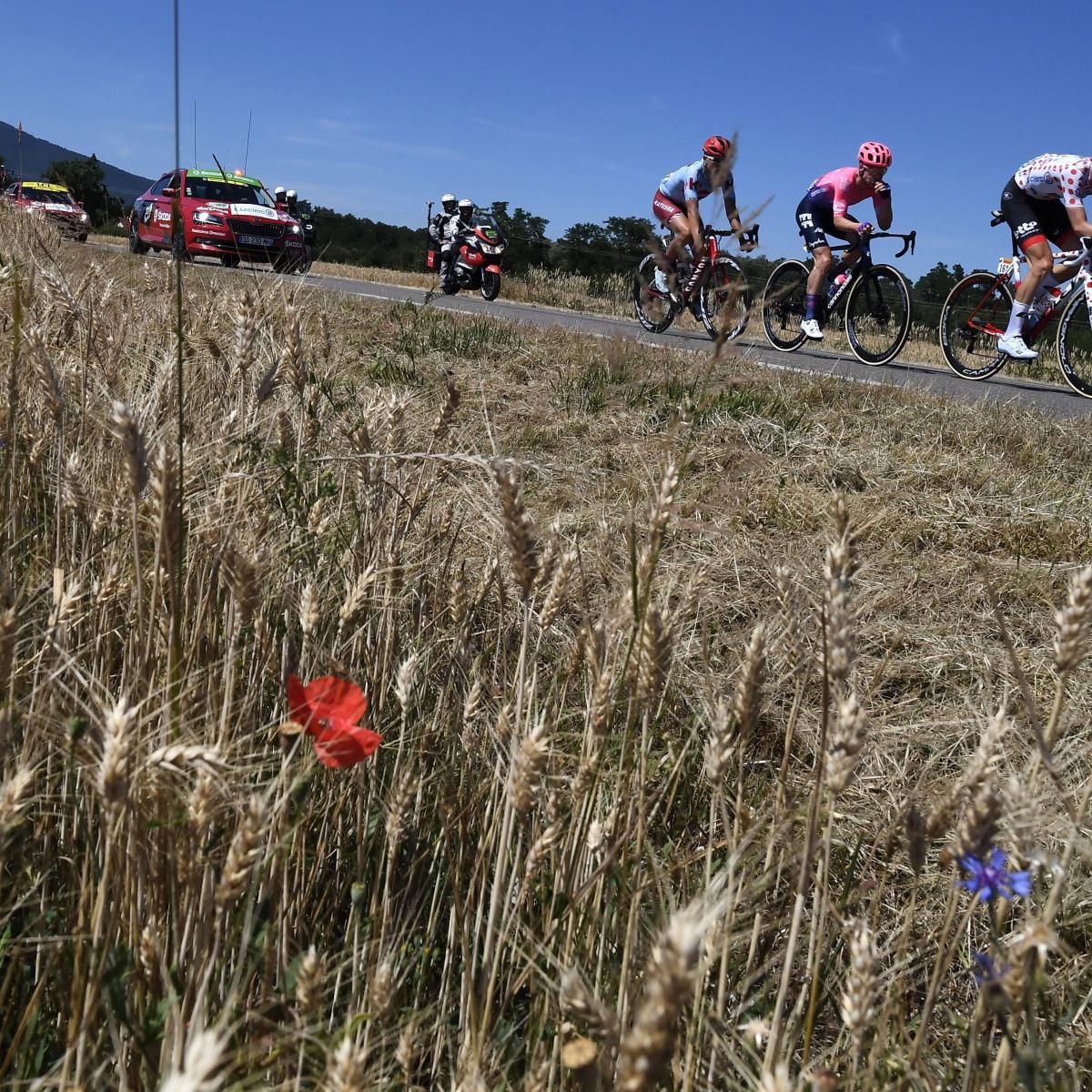 Tour de France 2019 Friday's Stage 7 LiveStream Schedule, TV Info and