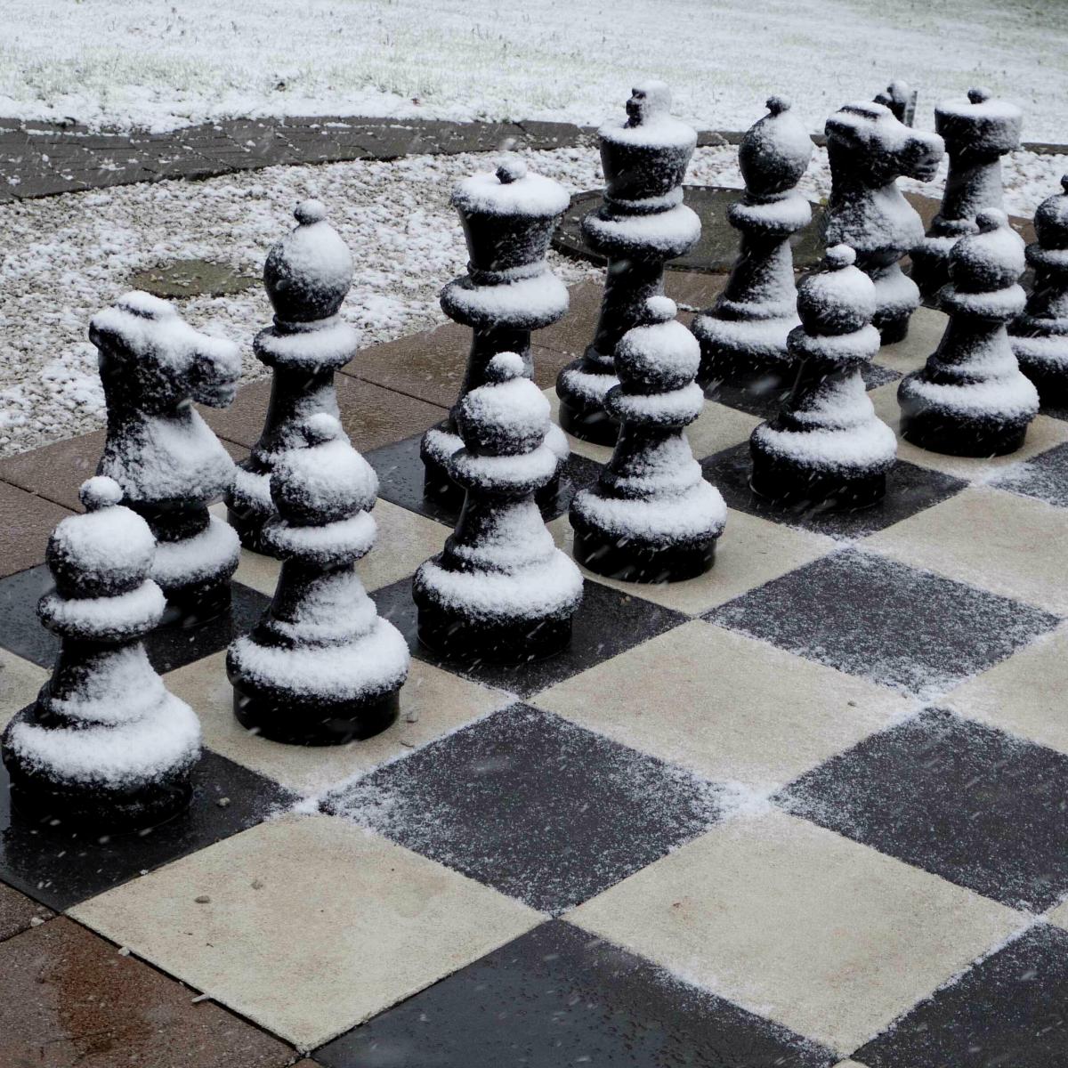 Chess grandmaster Igors Rausis accused of using phone hidden in