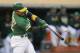 Oakland Athletics' Ramon Laureano c connects for a home run off Chicago White Sox's Ivan Nova in the second inning of a baseball game Friday, July 12, 2019, in Oakland, Calif. (AP Photo/Ben Margot)