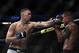 ANAHEIM, CA - AUGUST 17: Nate Diaz Punches punches Anthony Pettis during their welterweight bout at Honda Center on August 17, 2019 in Anaheim, California. (Photo by Kevork Djansezian/Zuffa LLC/Zuffa LLC)