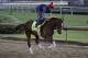 Kentucky Derby entrant Code of Honor runs during a workout at Churchill Downs Thursday, May 2, 2019, in Louisville, Ky. The 145th running of the Kentucky Derby is scheduled for Saturday, May 4. (AP Photo/Charlie Riedel)