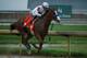 LOUISVILLE, KY - MAY 05: Justify #7, ridden by jockey Mike Smith runs down the stretch on his way to winning the 144th running of the Kentucky Derby at Churchill Downs on May 5, 2018 in Louisville, Kentucky. (Photo by Andy Lyons/Getty Images)