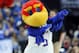 Kansas mascot Baby Jay performs during a second-round game against Michigan State in the men's NCAA college basketball tournament in Tulsa, Okla., Sunday, March 19, 2017. (AP Photo/Tony Gutierrez)