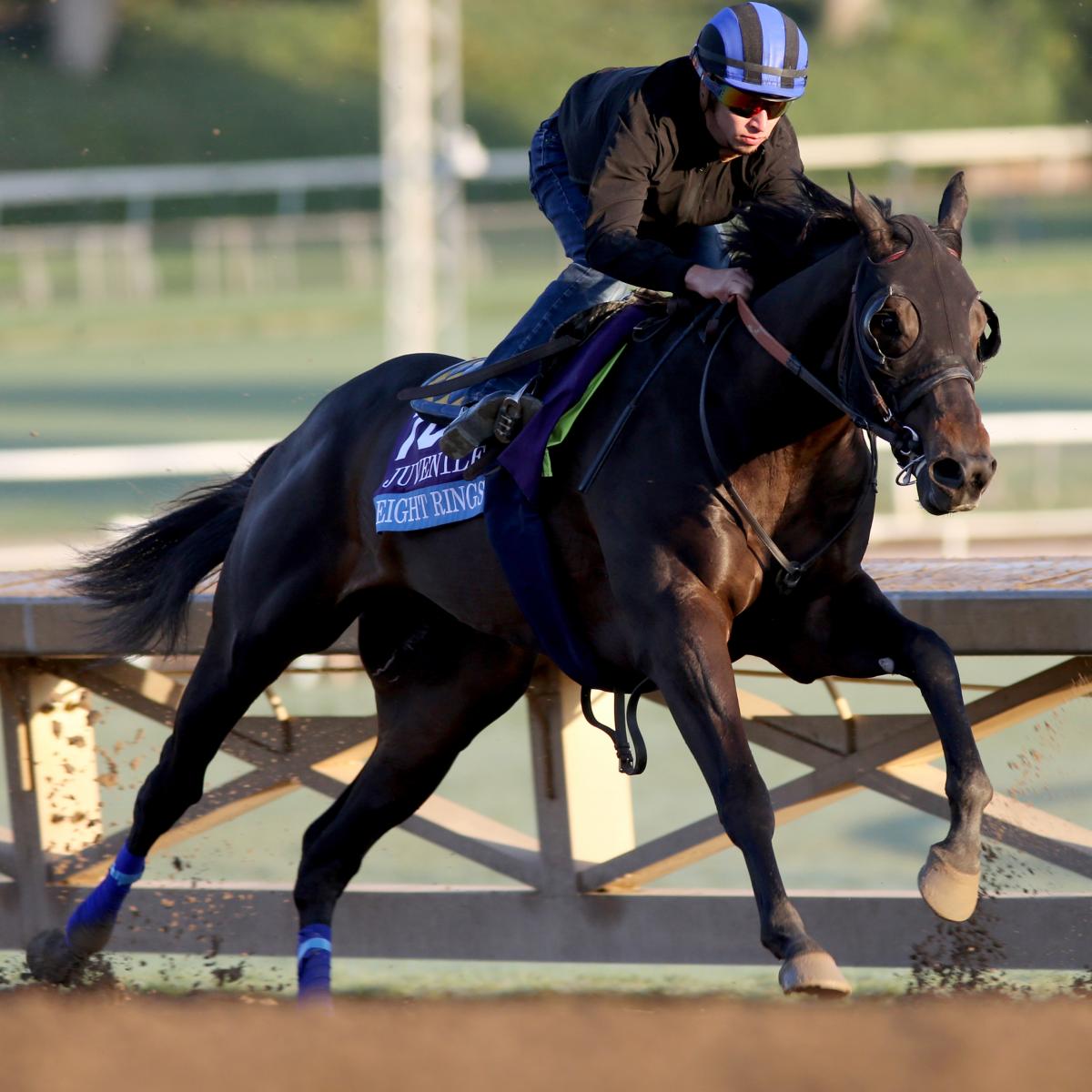 Breeders' Cup 2019 Post Time, Post Positions and Friday TV Coverage