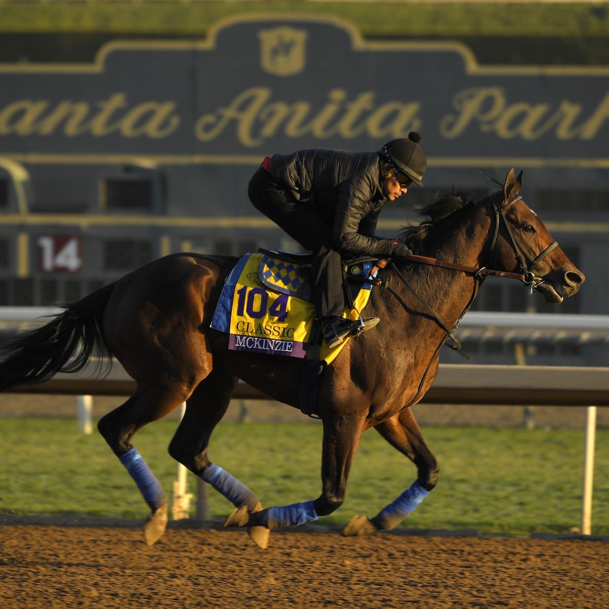 Breeders' Cup Classic 2019 Latest Odds, Predictions Heading into