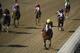 Joel Rosario rides Covfefe to victory in the Breeders' Cup Filly and Mare Sprint horse race at Santa Anita Park, Saturday, Nov. 2, 2019, in Arcadia, Calif. (AP Photo/Mark J. Terrill)