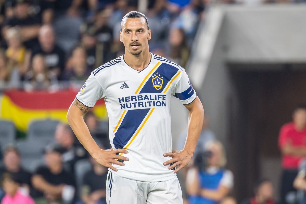 Bologna's Riccardo Bigon Says Club Are in Contact with Zlatan