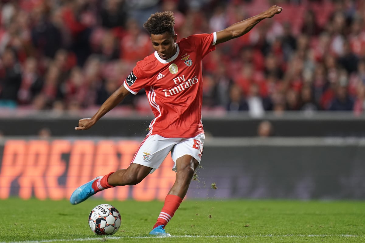 Gedson Fernandes Joins Tottenham Hotspur on 18-Month Loan | Bleacher Report | Latest News, Videos and Highlights