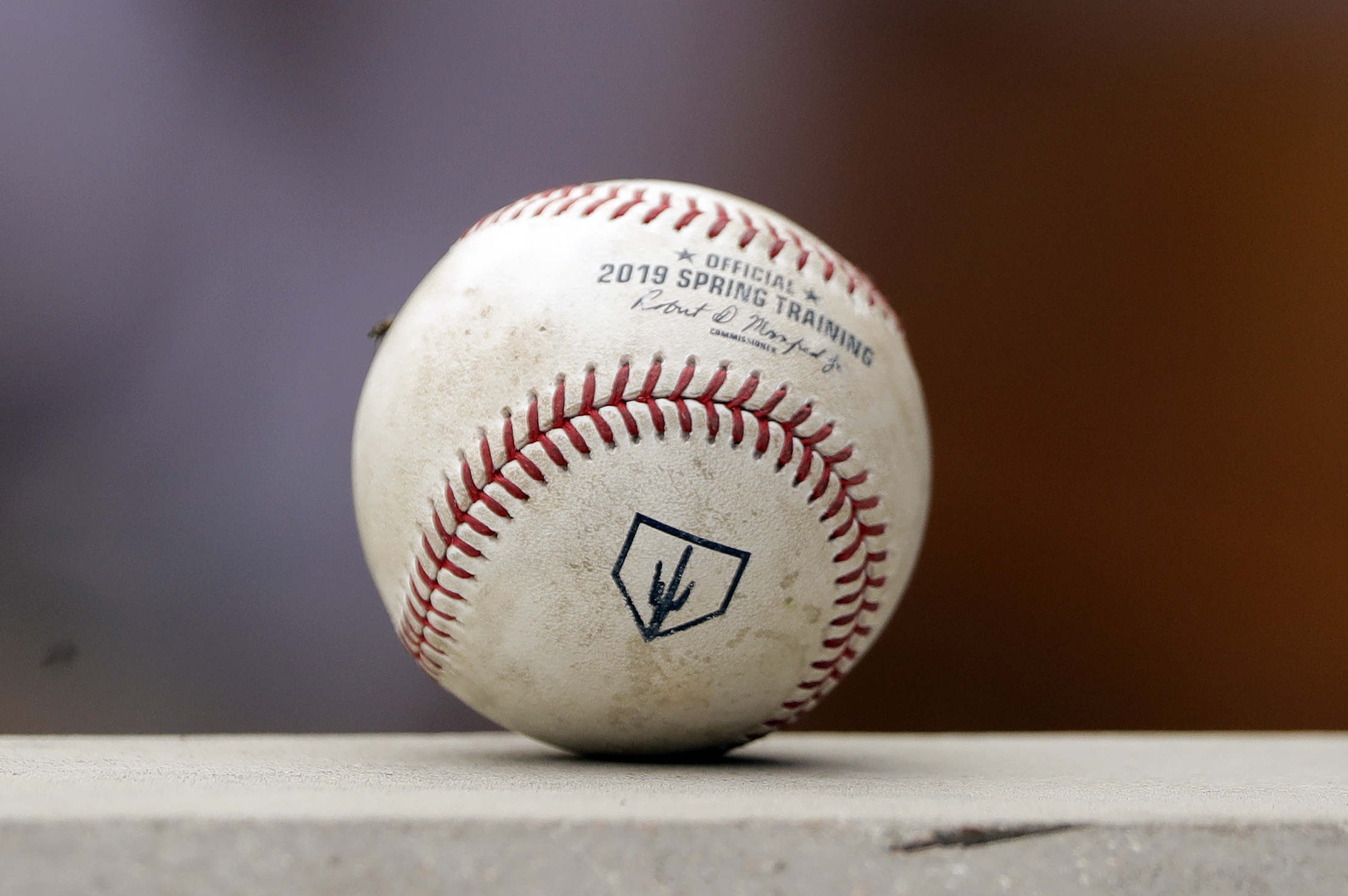 MLB 2019 Arizona Spring Training Baseballs