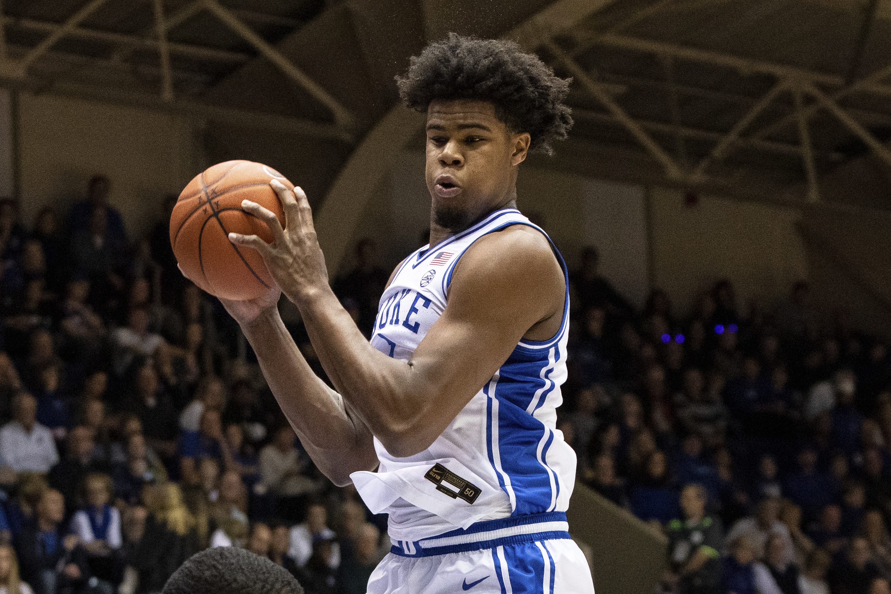 Charlotte Hornets center Vernon Carey Jr. brings the ball down