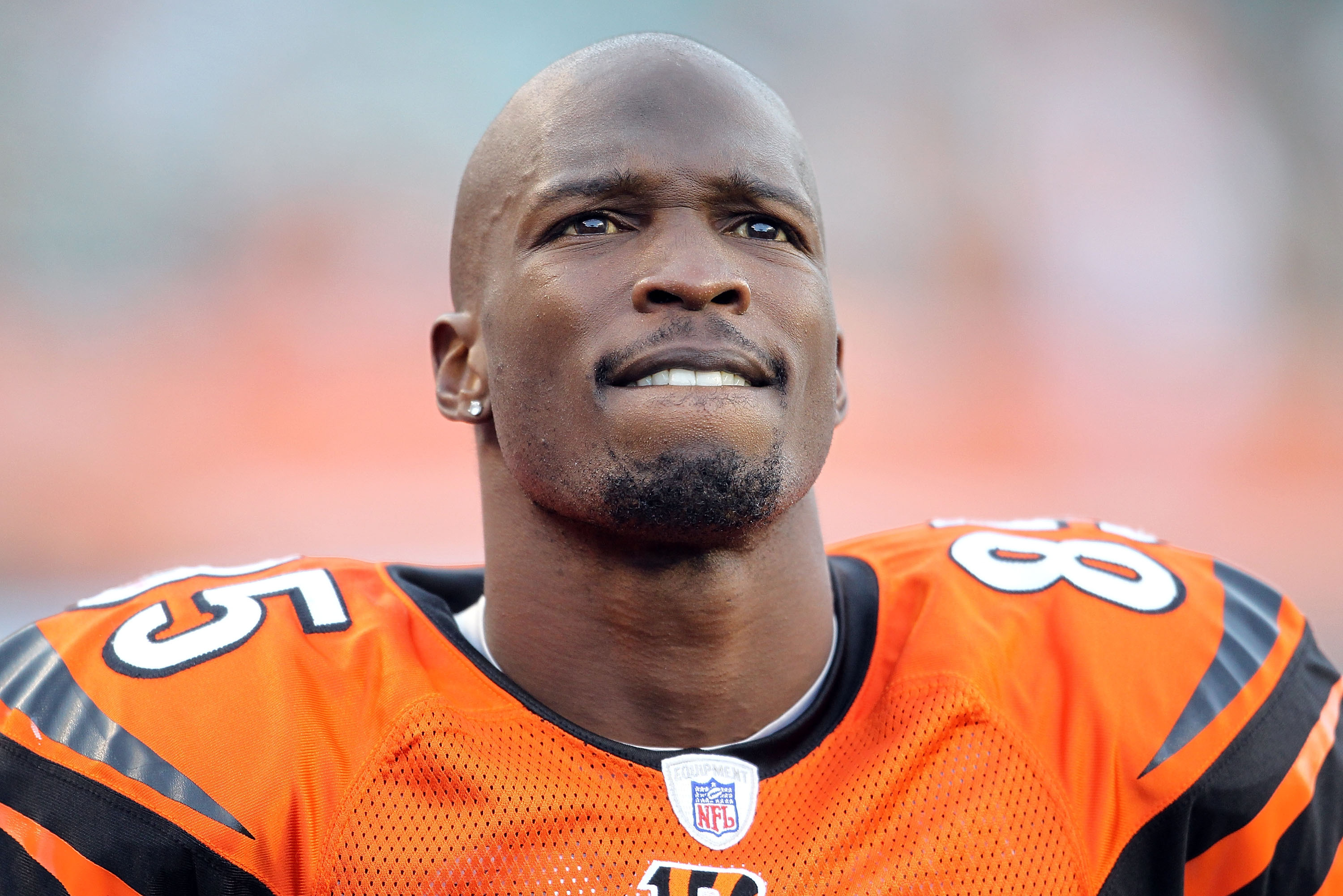 New england patriots chad ochocinco hi-res stock photography and