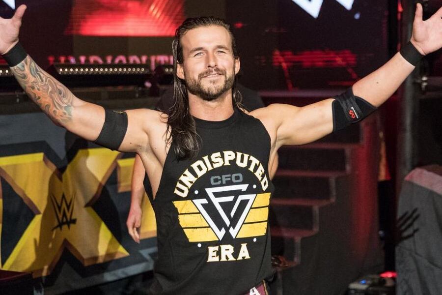 Retired Wwe Star Stone Cold Steve Austin Helps Create New