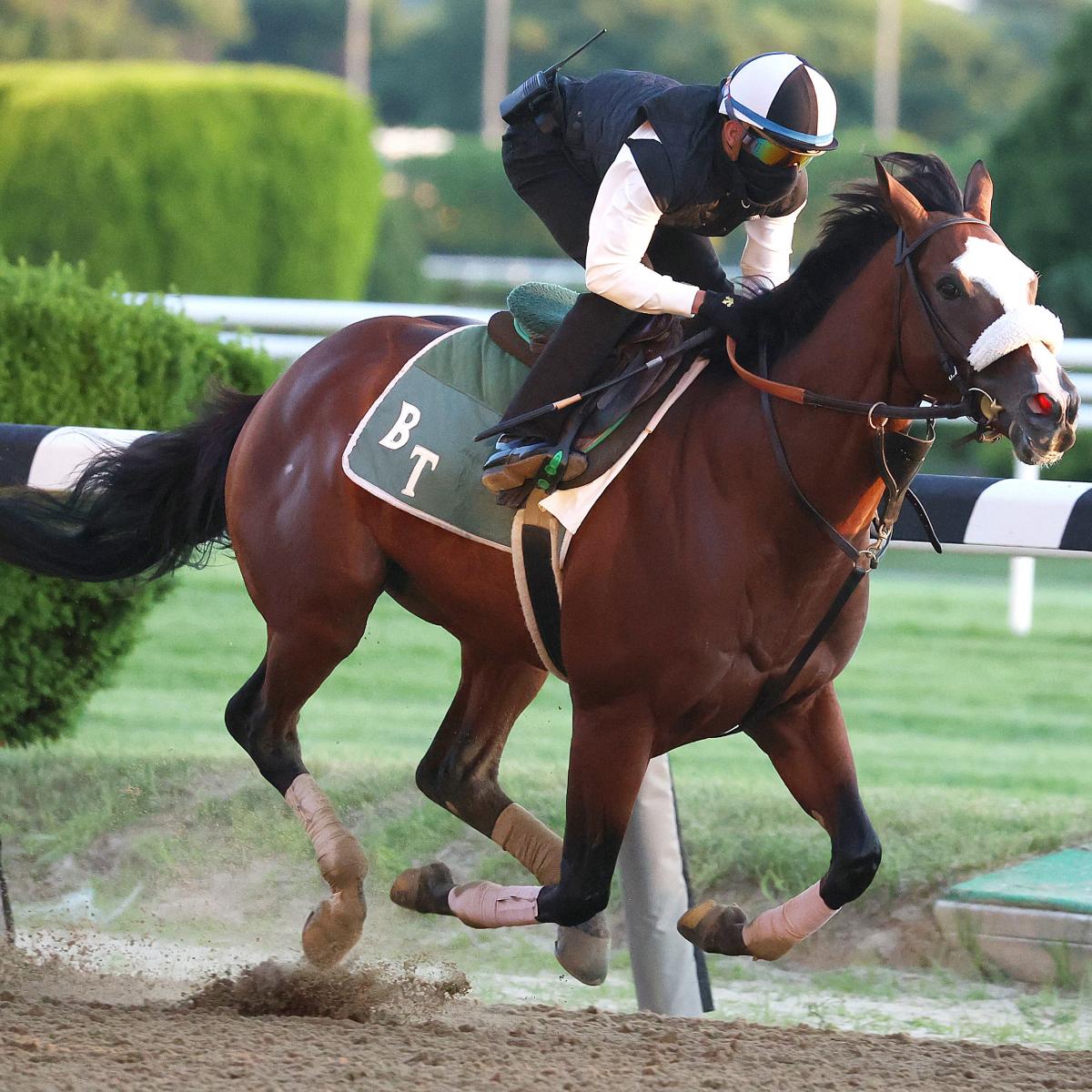 Belmont Stakes 2020 Contenders Horse Pedigree and Jockey Info for Top