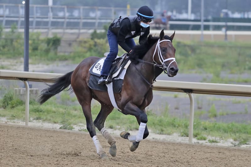 Farmington Road berolahraga di trek di Belmont Park di Elmont, NY, Kamis, 18 Juni 2020. Tiz the Law kelihatannya seperti yang terbaik berusia 3 tahun di dunia dan merupakan favorit Triple Crown, bahkan dengan balapan kehabisan urutan normal mereka. Dibutuhkan sesuatu yang spektakuler pada hari Sabtu dari ladang yang encer untuk mencegahnya menjadi kuda yang dibesarkan di New York pertama yang memenangkan Taruhan Belmont dalam lebih dari 130 tahun. (Foto AP / Seth Wenig)