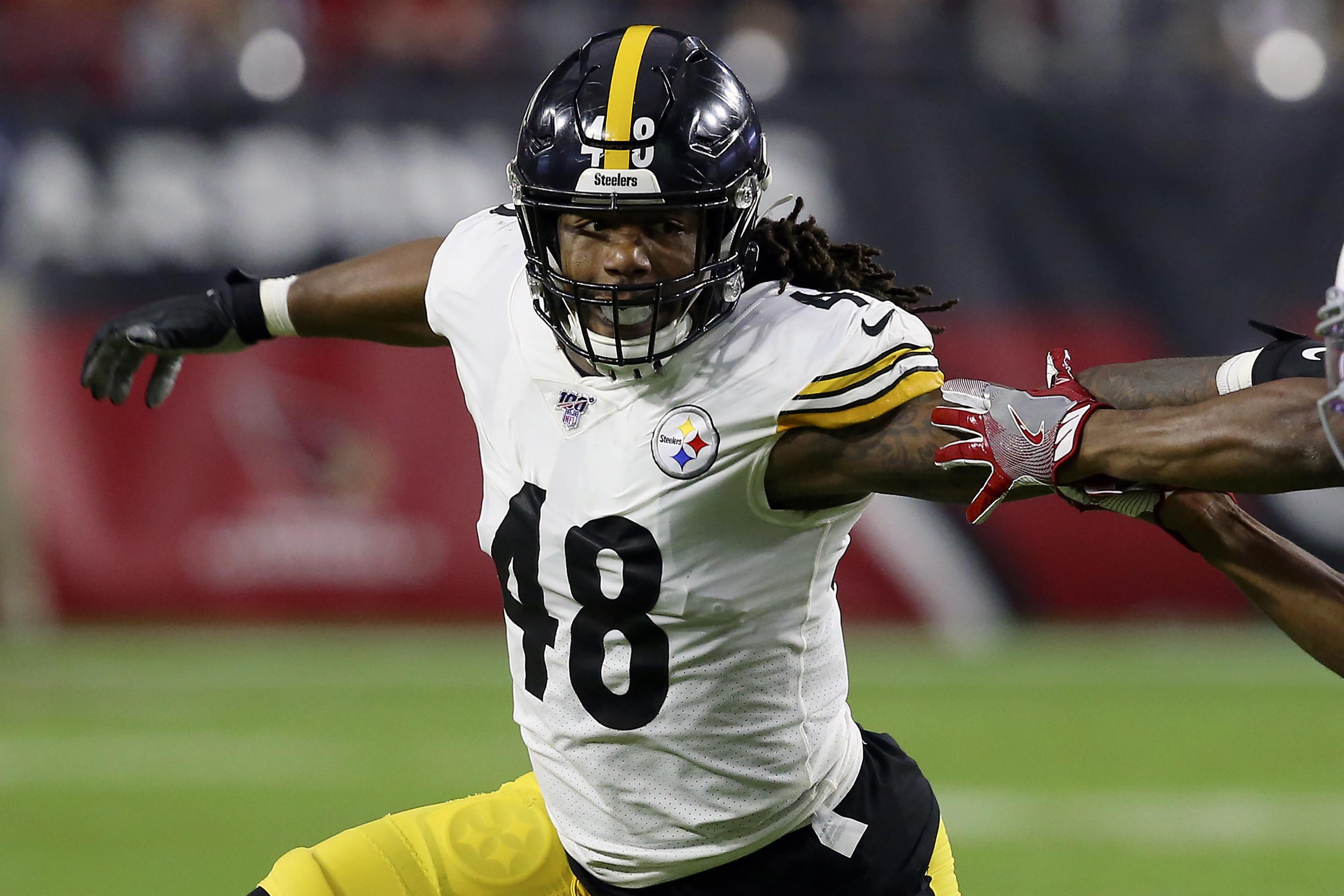 Bud Dupree and Cam Heyward - Pittsburgh Steelers