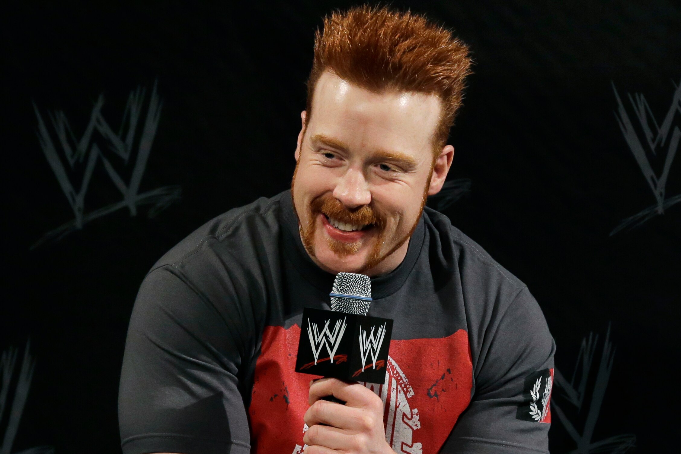 wwe the bar