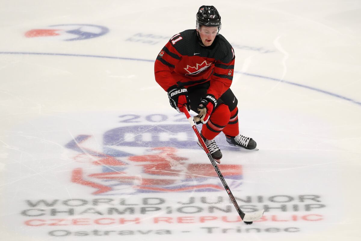 NHL Draft Lottery 2020: Date, Odds and Latest Regular ...