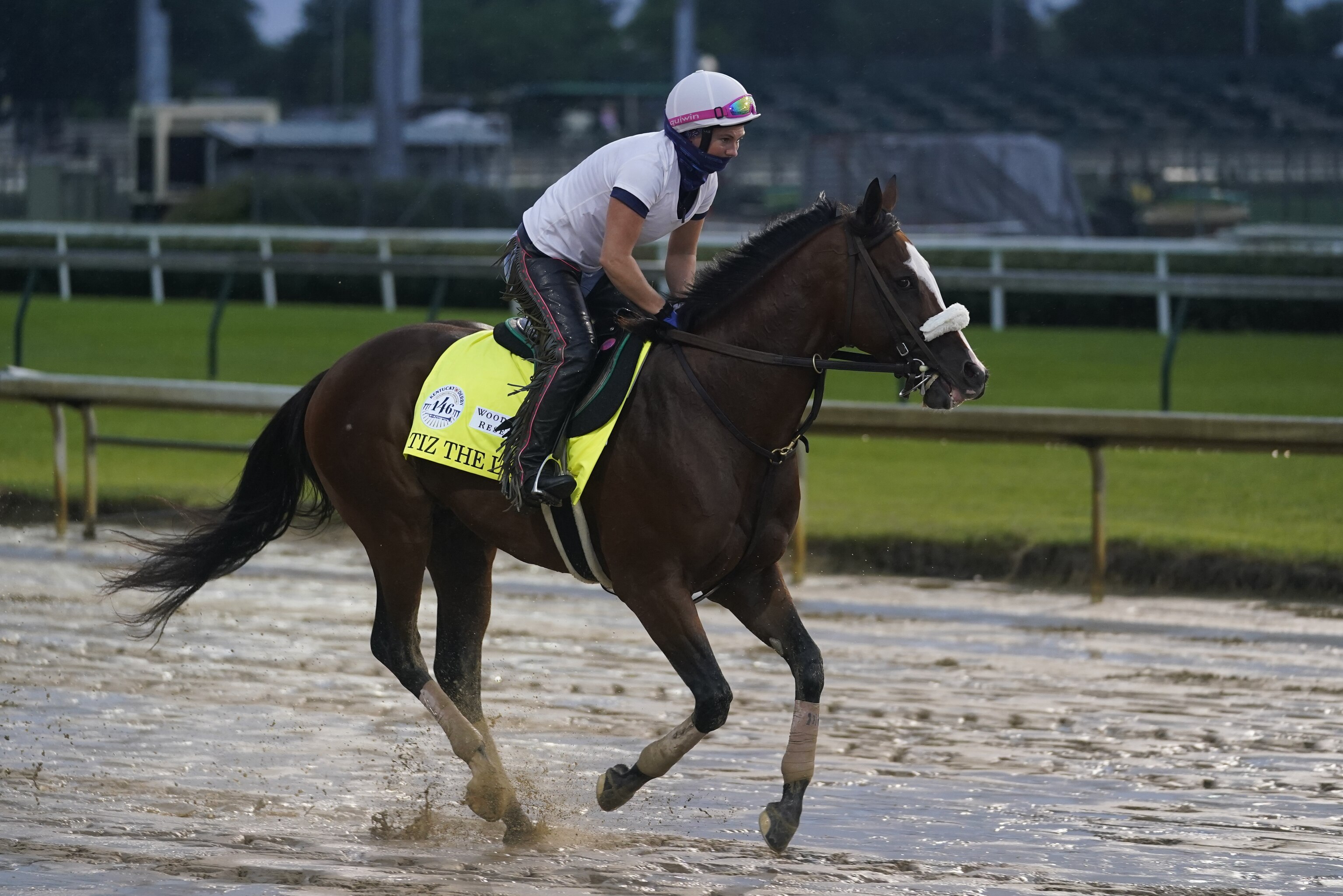 What Horse Should I Bet On Kentucky Derby What Horse Should I Bet On Kentucky Derby
