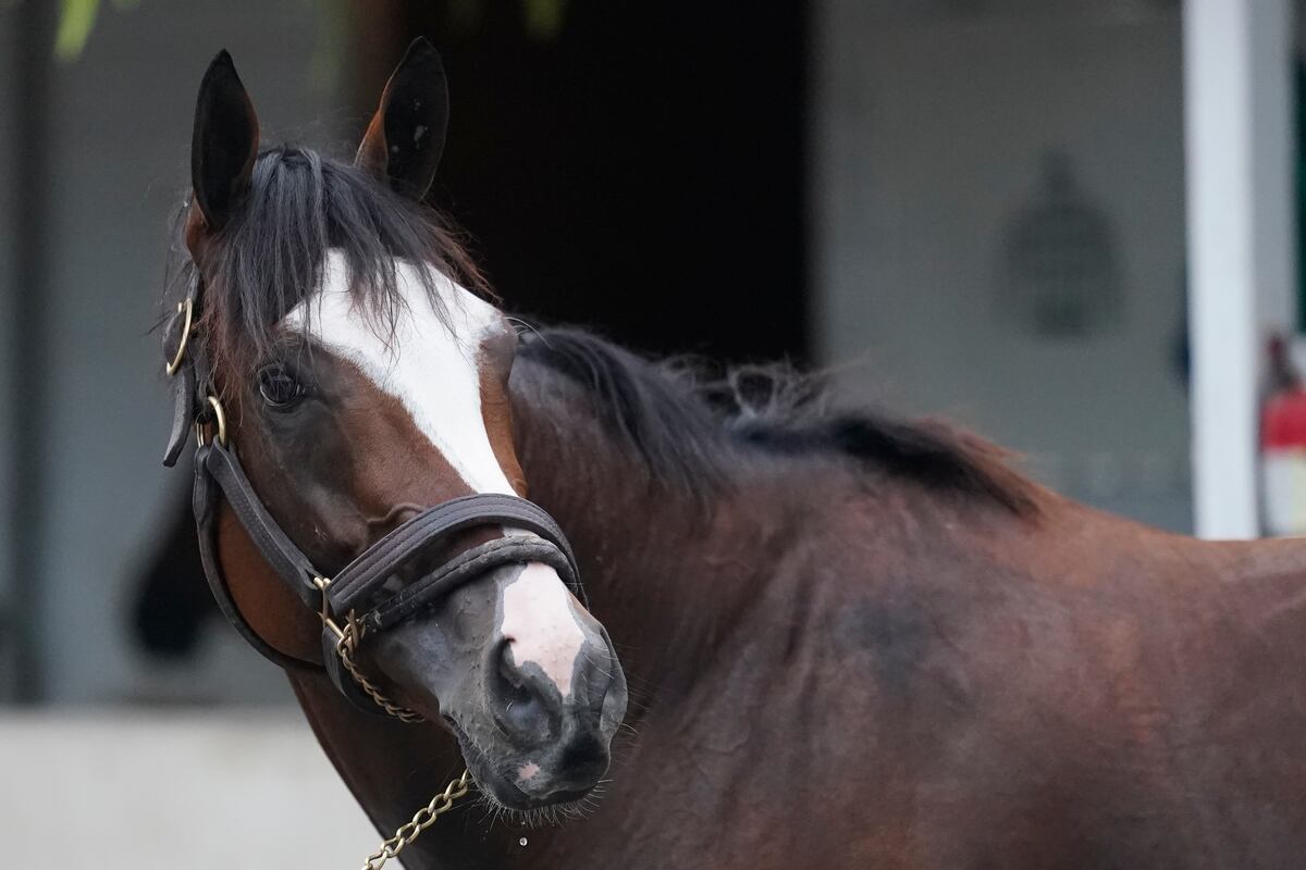 Kentucky Derby 2020 Post Positions Field Info, Horses Odds and